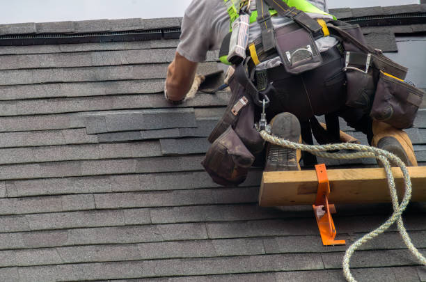 Best Roof Repair Services  in Spring Lake, MI